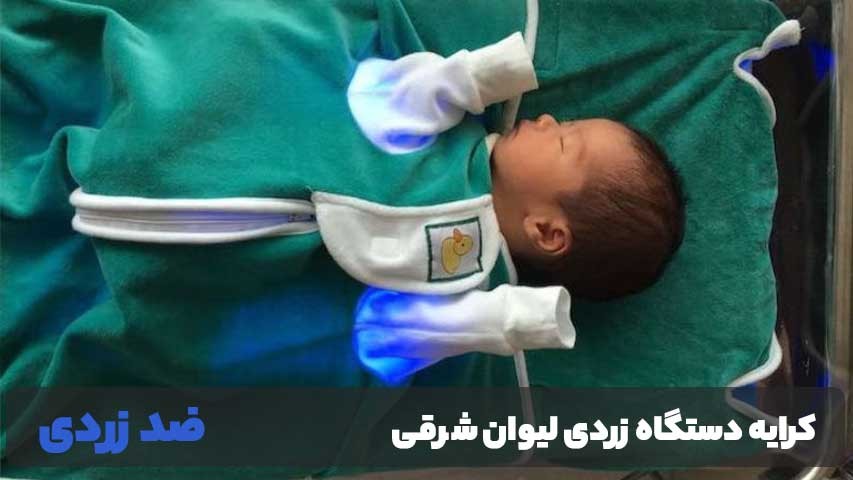 کرایه دستگاه زردی لیوان شرقی